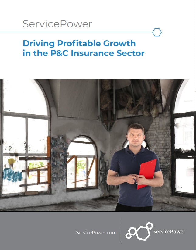 Driving Profitable Growth in the Insurance Sector